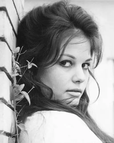 Claudia Cardinale Wall Poster picture 244711