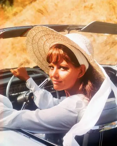 Claudia Cardinale Wall Poster picture 244750
