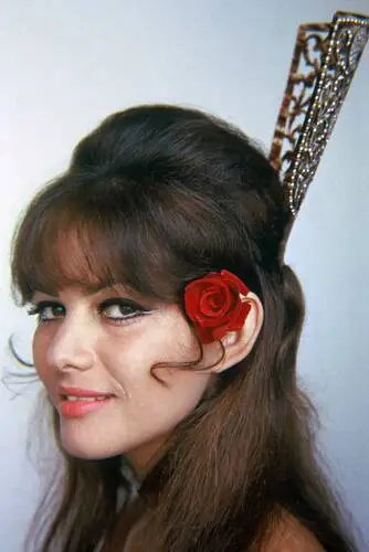 Claudia Cardinale Jigsaw Puzzle picture 279500