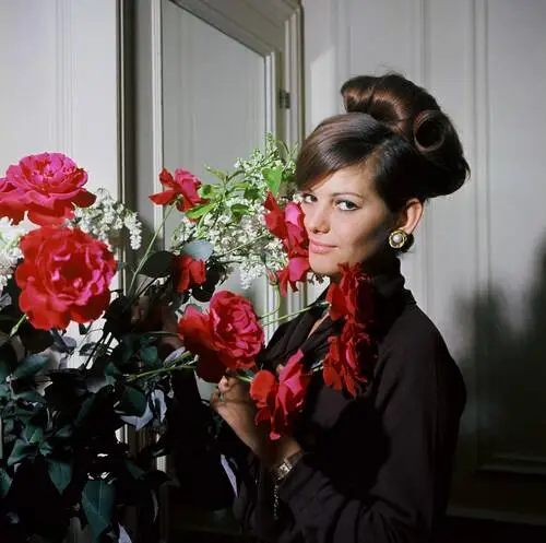 Claudia Cardinale Jigsaw Puzzle picture 279504