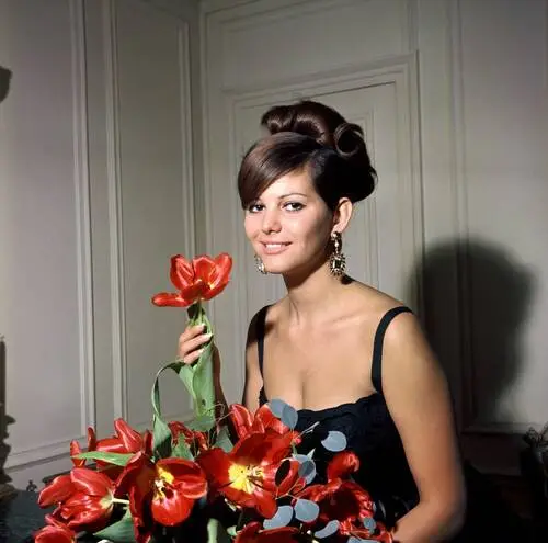 Claudia Cardinale Wall Poster picture 279506