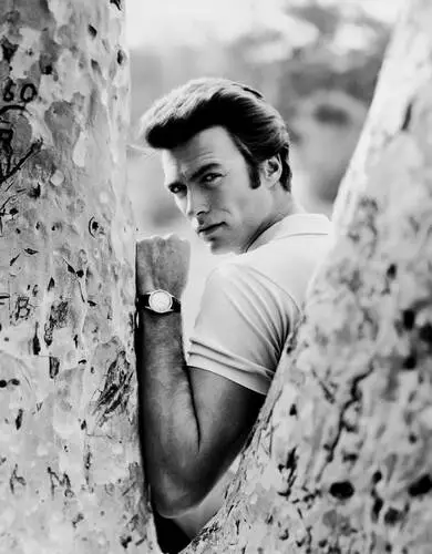 Clint Eastwood Wall Poster picture 5691