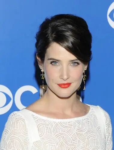 Cobie Smulders Wall Poster picture 162172