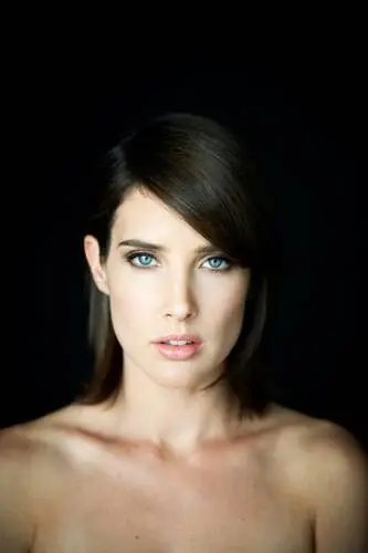 Cobie Smulders Wall Poster picture 244811