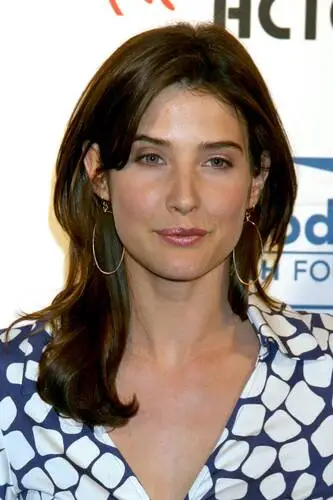 Cobie Smulders Wall Poster picture 75013