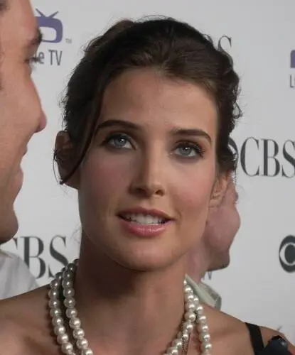 Cobie Smulders Wall Poster picture 75165