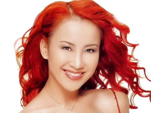 Coco Lee Wall Poster picture 95184