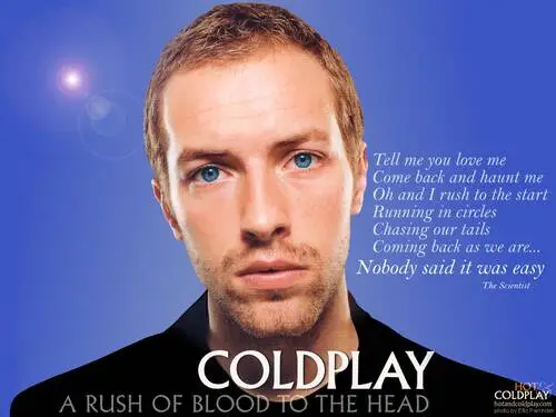 Coldplay Fridge Magnet picture 192701