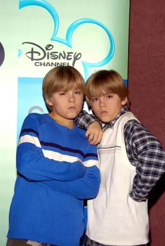 Cole and Dylan Sprouse Fridge Magnet picture 942428