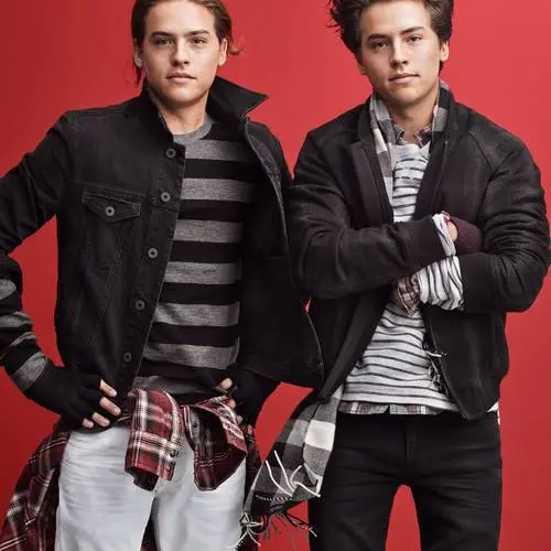 Cole and Dylan Sprouse Jigsaw Puzzle picture 942455