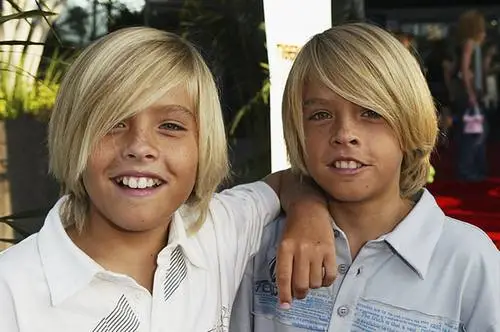 Cole and Dylan Sprouse Jigsaw Puzzle picture 942467