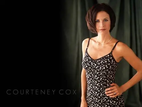Courteney Cox Wall Poster picture 130861