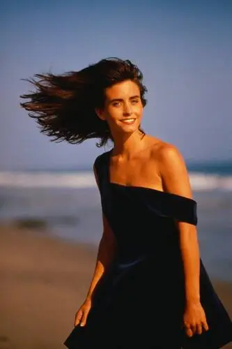 Courteney Cox Wall Poster picture 244932