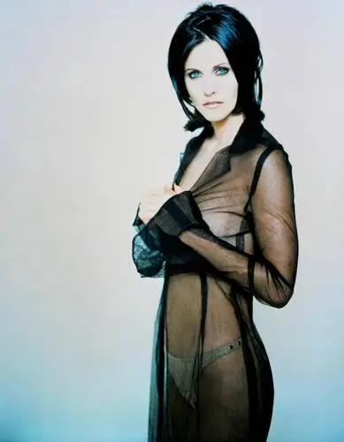 Courteney Cox Wall Poster picture 32219