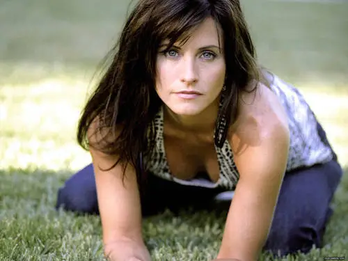 Courteney Cox Wall Poster picture 75039