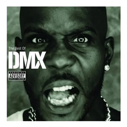 DMX Wall Poster picture 776891