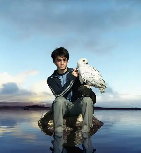 Daniel Radcliffe Wall Poster picture 474544