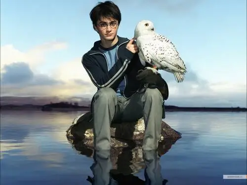 Daniel Radcliffe Drawstring Backpack - idPoster.com