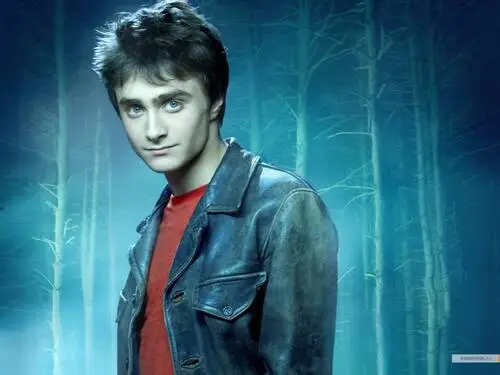 Daniel Radcliffe Wall Poster picture 5938