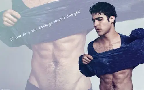 Darren Criss Wall Poster picture 114641