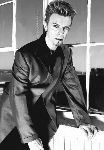 David Bowie Jigsaw Puzzle picture 63758