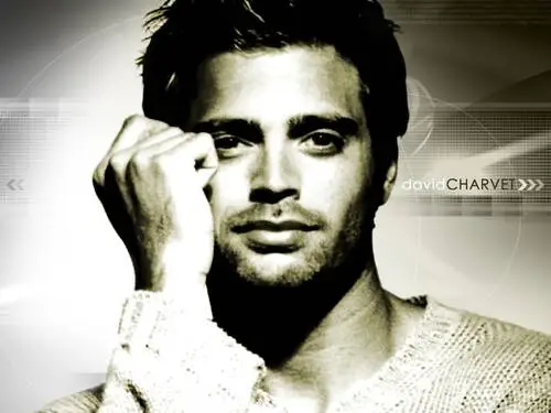 David Charvet Wall Poster picture 95404