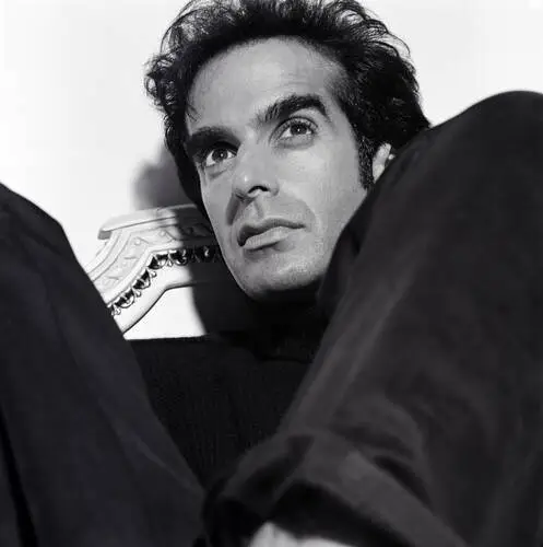 David Copperfield Jigsaw Puzzle picture 527169