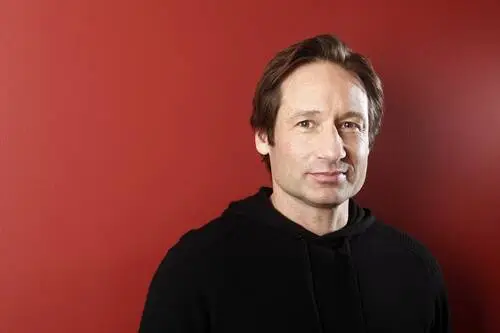 David Duchovny Wall Poster picture 133597