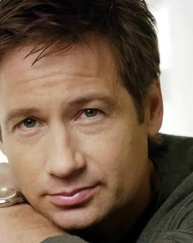 David Duchovny Wall Poster picture 487410