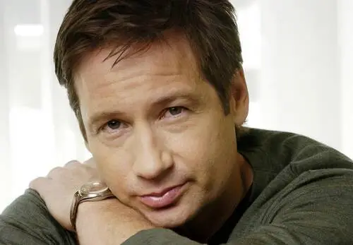 David Duchovny Wall Poster picture 487434