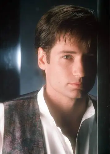 David Duchovny Wall Poster picture 493927