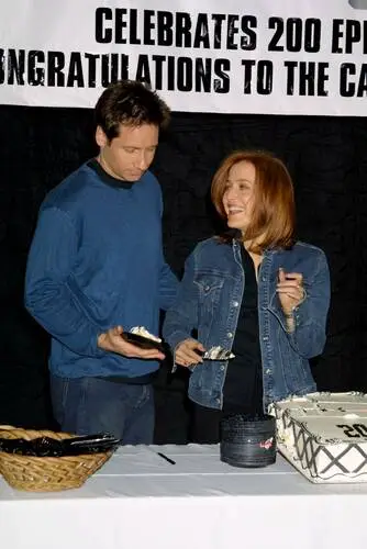 David Duchovny Wall Poster picture 57506