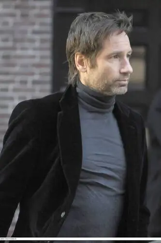 David Duchovny Wall Poster picture 79253