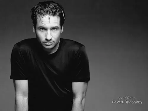 David Duchovny Wall Poster picture 84677