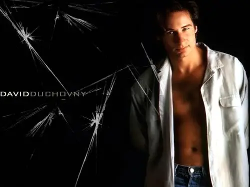 David Duchovny Wall Poster picture 84678