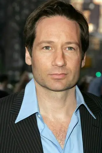 David Duchovny Wall Poster picture 84679