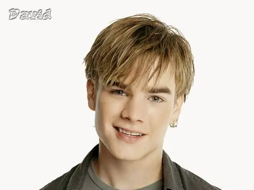 David Gallagher Jigsaw Puzzle picture 95413