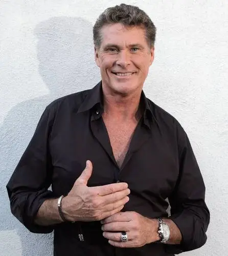 David Hasselhoff Wall Poster picture 502359