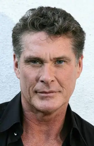 David Hasselhoff Wall Poster picture 502362