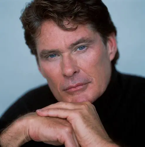 David Hasselhoff Jigsaw Puzzle picture 521079