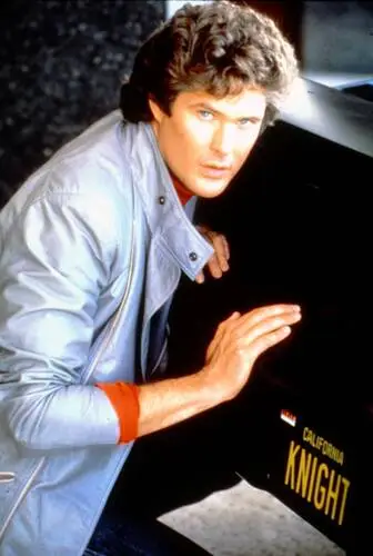David Hasselhoff Wall Poster picture 527176