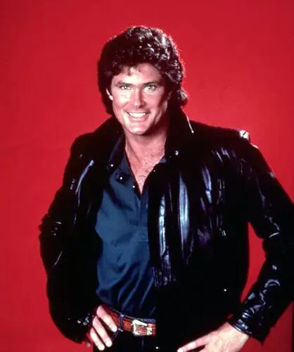 David Hasselhoff Wall Poster picture 527178
