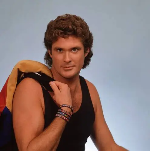 David Hasselhoff Jigsaw Puzzle picture 527179