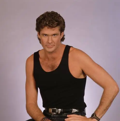 David Hasselhoff Computer MousePad picture 527180