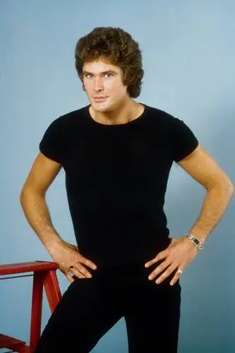 David Hasselhoff Wall Poster picture 538611