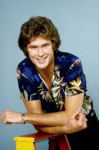 David Hasselhoff Jigsaw Puzzle picture 538612