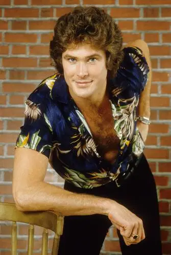David Hasselhoff Computer MousePad picture 538613