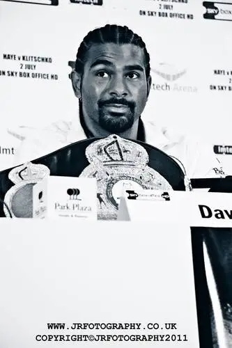 David Haye Wall Poster picture 304866