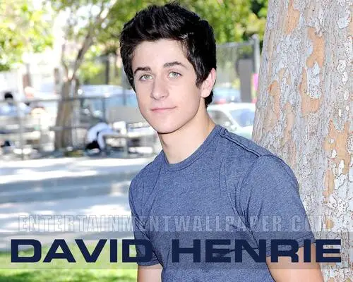 David Henrie Wall Poster picture 110418