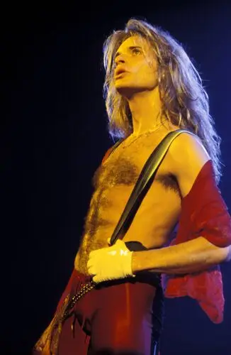 David Lee Roth and Van Halen Women's Colored  Long Sleeve T-Shirt - idPoster.com